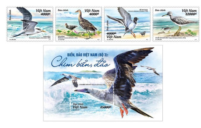 Phát hành bộ tem “Biển, đảo Việt Nam: Chim biển, đảo” ảnh 1