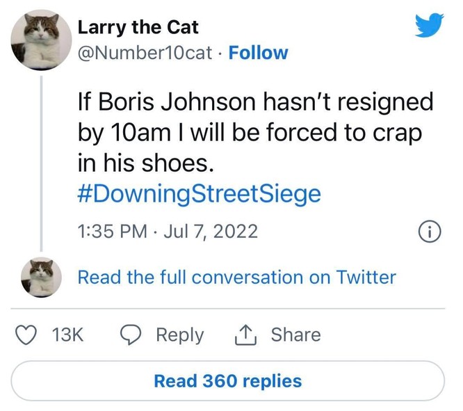 Tài khoản Twitter của mèo Larry kêu gọi Thủ tướng Anh từ chức ảnh 1