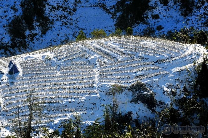 Ngắm tuyết trên những thửa ruộng bậc thang ở “nóc nhà Đông Dương“ ảnh 7