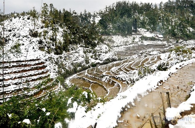 Ngắm tuyết trên những thửa ruộng bậc thang ở “nóc nhà Đông Dương“ ảnh 9