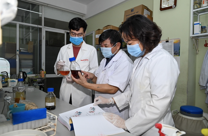 Lần đầu tiên Việt Nam nghiên cứu tiền lâm sàng thành công thuốc điều trị COVID-19 làm từ thảo dược ảnh 2