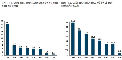 Việt Nam trữ dầu cho sản xuất cao nhất châu Á ảnh 1