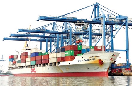 Số lượng tàu tăng lên nhưng thị phần vận tải hàng hóa quốc tế lại giảm đi do không cạnh tranh được với các tàu nước ngoài.