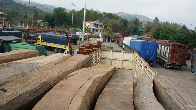 Hàng trăm xe gỗ ùn ứ ở Cửa khẩu Quốc tế Lao Bảo ảnh 2