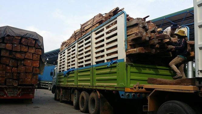 Hàng trăm xe gỗ ùn ứ ở Cửa khẩu Quốc tế Lao Bảo ảnh 6