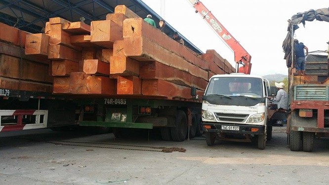 Hàng trăm xe gỗ ùn ứ ở Cửa khẩu Quốc tế Lao Bảo ảnh 7