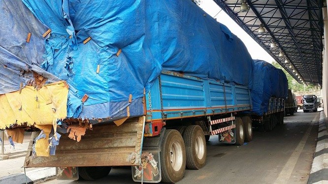 Hàng trăm xe gỗ ùn ứ ở Cửa khẩu Quốc tế Lao Bảo ảnh 8