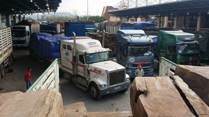 Hàng trăm xe gỗ ùn ứ ở Cửa khẩu Quốc tế Lao Bảo ảnh 13