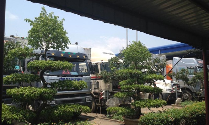 Hơn 500 xe đông lạnh ùn tắc tại cửa khẩu Lào Cai ảnh 4