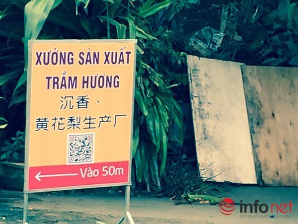 Đà Nẵng: Xuất hiện showroom cấm cửa khách Việt, chỉ đón khách Trung Quốc! ảnh 9