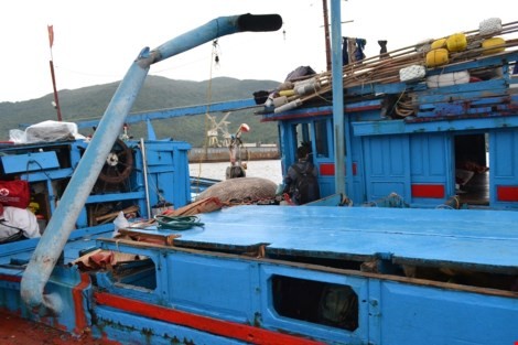 Clip Tan hoang tàu cá bị tàu nước ngoài đâm nát trên biển ảnh 1