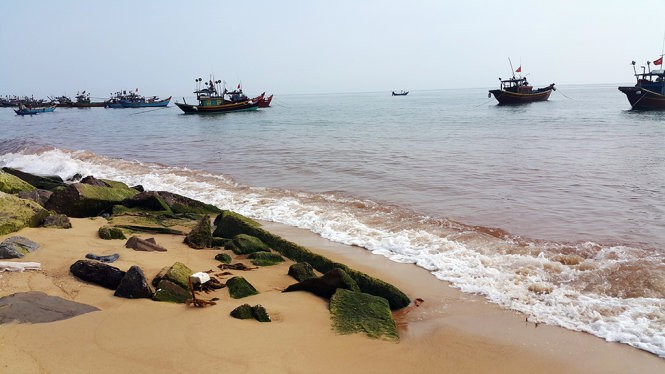 Xuất hiện vệt nước đỏ 1,5km dọc bờ biển Quảng Bình ảnh 2