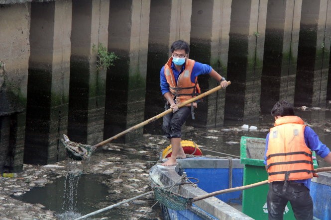 Đã vớt gần 70 tấn cá chết trên kênh Nhiêu Lộc - Thị Nghè ảnh 3