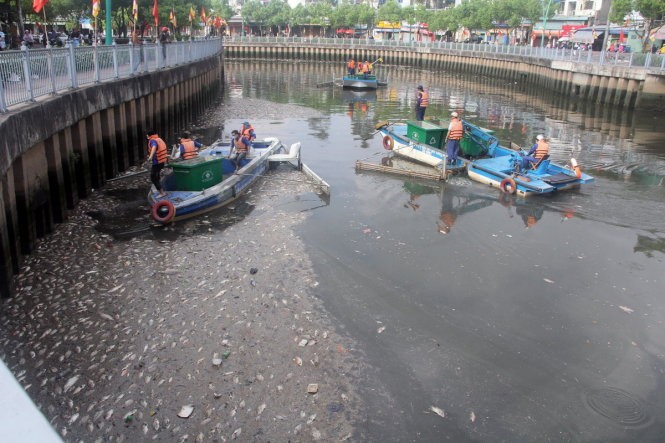 Đã vớt gần 70 tấn cá chết trên kênh Nhiêu Lộc - Thị Nghè ảnh 2