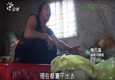 Phóng sự thảm họa cá chết Việt Nam rúng động Đài Loan ảnh 1