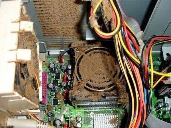Những bộ máy tính bẩn đến mức thợ sửa nhìn vào phải phát khóc ảnh 14