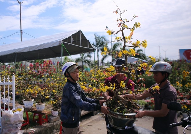Chợ hoa Tết miền Trung nhộn nhịp ảnh 5