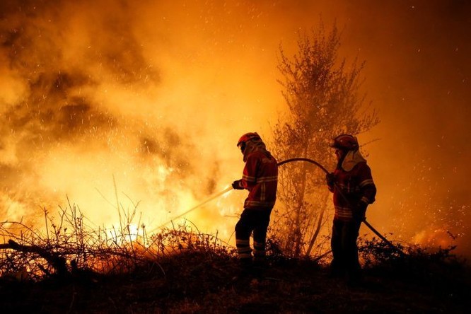 Những điều bạn cần biết về thảm họa cháy rừng ở Úc ảnh 5