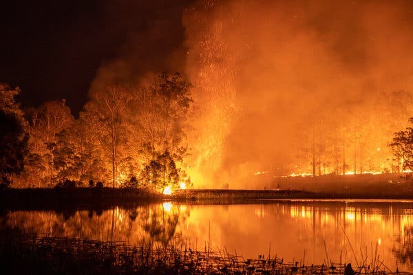 Những điều bạn cần biết về thảm họa cháy rừng ở Úc ảnh 1