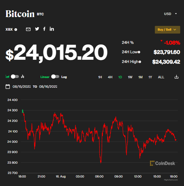 Bitcoin nỗ lực vượt mốc 25.000 USD ảnh 1