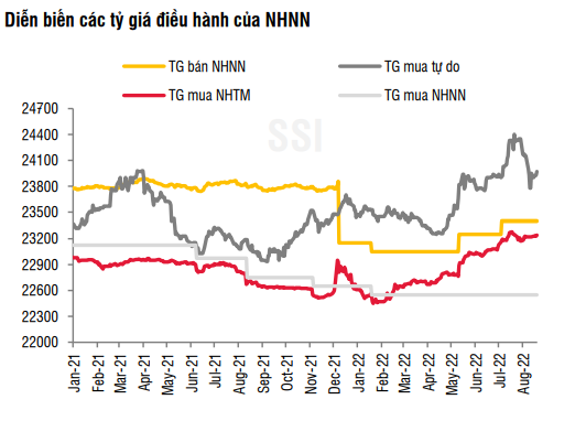 Tỷ giá USD/VND tăng mạnh ảnh 1
