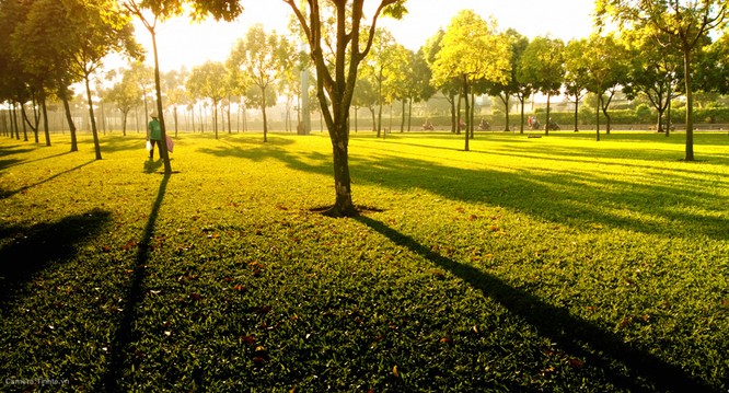 Mẹo giúp chụp ảnh đẹp hơn với điện thoại - Phần 1 ảnh 11