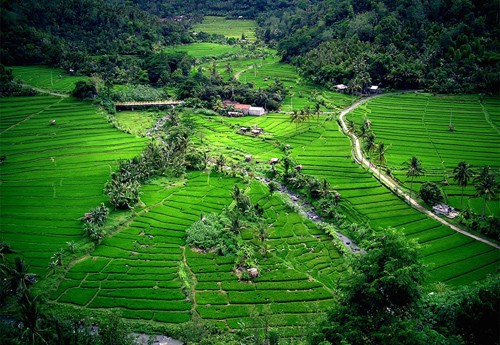 Hà Nội, Hội An vào top điểm đến không thể bỏ qua ảnh 5