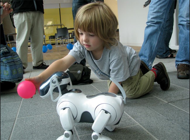Robot sẽ dần thay thế thú cưng trong tương lai? ảnh 1