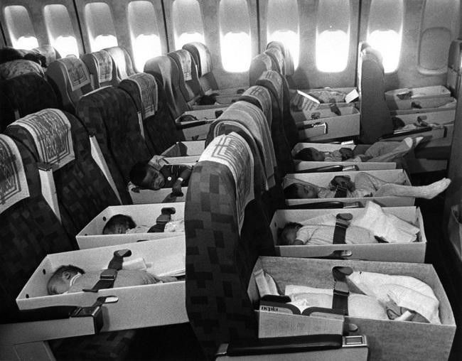 Babies on board!