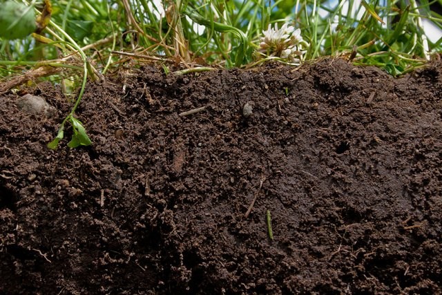 Soil-Top-10-Natural-Resources-That-Will-Deplete-Soon