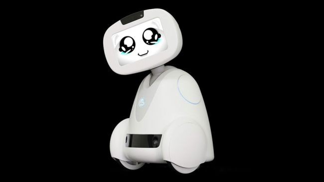 Cùng khám phá những robot xuất sắc nhất tại CES 2018 ảnh 5