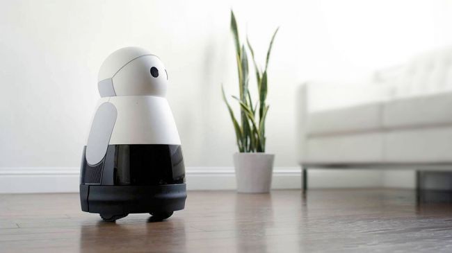 Cùng khám phá những robot xuất sắc nhất tại CES 2018 ảnh 6