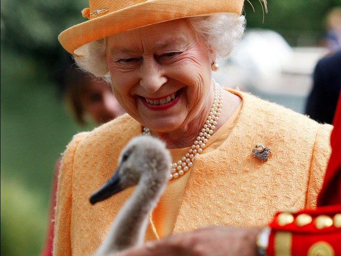 “Bật mí” những điều thú vị có thể bạn chưa biết về Nữ hoàng Anh ảnh 8