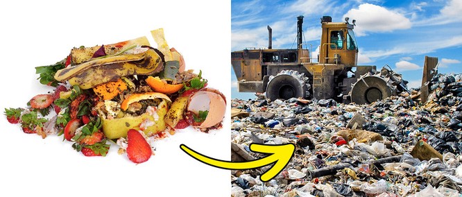 Sự thật kinh hoàng về rác thải trên trái đất ảnh 8
