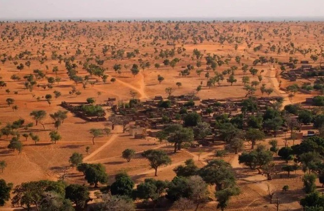 Bạn có biết sa mạc Sahara từng có cây cối xanh rờn với hươu cao cổ và cá sấu? ảnh 4