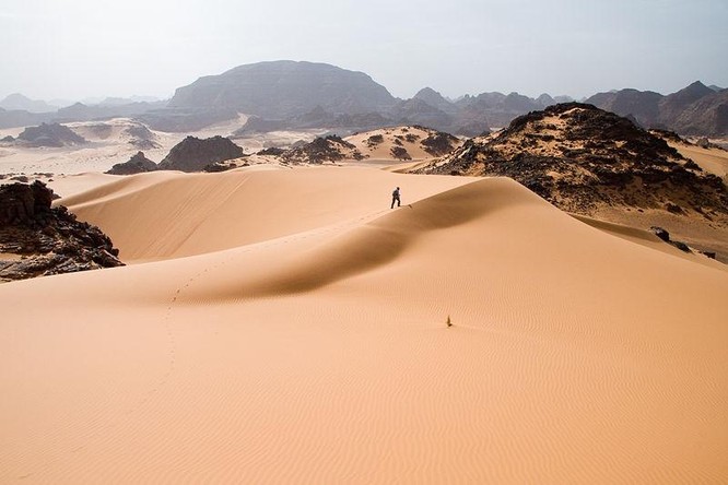 Bạn có biết sa mạc Sahara từng có cây cối xanh rờn với hươu cao cổ và cá sấu? ảnh 1