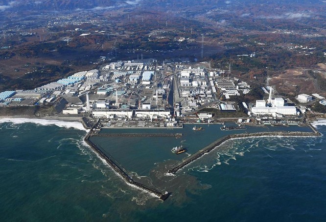 Mười năm sau vụ rò rỉ hạt nhân, "cá nhiễm phóng xạ" lại xuất hiện ở Fukushima ảnh 1
