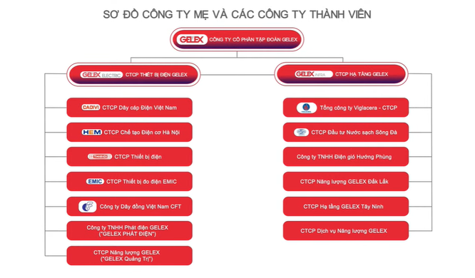 CEO Gelex Nguyễn Văn Tuấn cam kết sẽ mua đủ 10 triệu cổ phiếu GEX ảnh 2