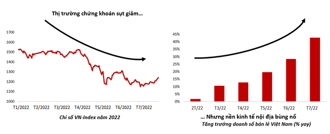 Chuyên gia VinaCapital: Giá cổ phiếu chưa phản ánh đúng sức mạnh của nền kinh tế Việt Nam ảnh 1