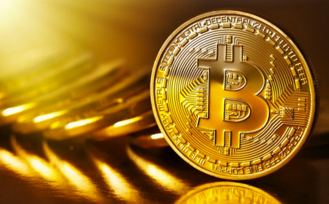 'Cá voi Bitcoin' tăng mạnh sau khi FTX phá sản ảnh 1
