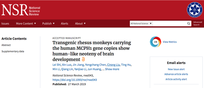 Đưa gene người vào não khỉ - các nhà khoa học Trung Quốc lại gây sóng gió ảnh 1