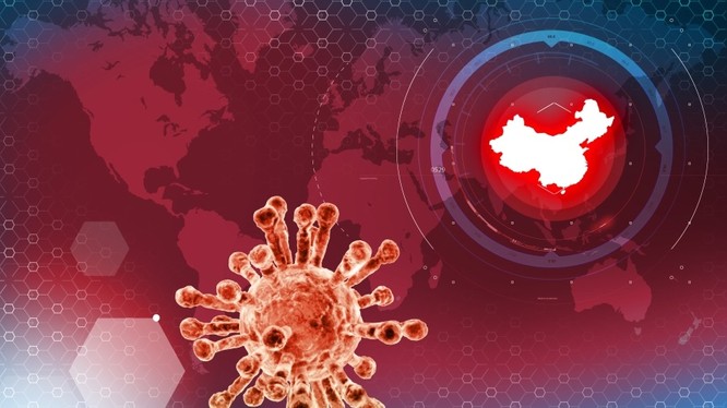 Cựu tổng giám đốc WHO Brundtland: Trung Quốc trì hoãn thông báo dịch, châu Âu xem thường virus! ảnh 2