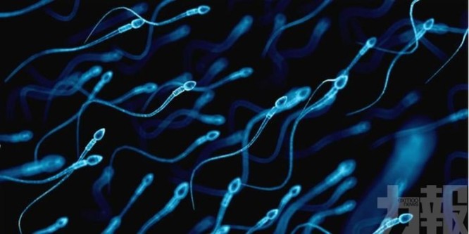 Nóng: Phát hiện mới cho thấy đàn ông sau khi nhiễm COVID-19, cơ hội có con rất thấp ảnh 2