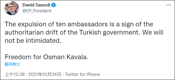 Tổng thống Thổ Nhĩ Kỳ đe dọa trục xuất đại sứ 10 nước đồng minh phương Tây ảnh 6