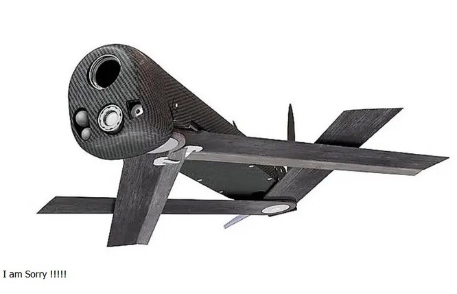 Cuộc chiến UAV ở Ukraine: liệu có phải chiến tranh đã bước vào thời đại "máy móc giết người"? ảnh 3