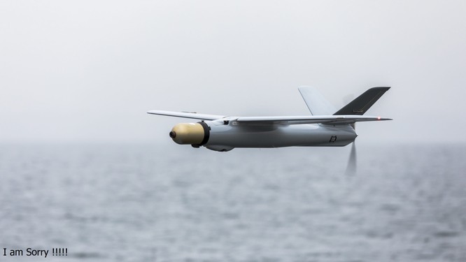 Cuộc chiến UAV ở Ukraine: liệu có phải chiến tranh đã bước vào thời đại "máy móc giết người"? ảnh 4
