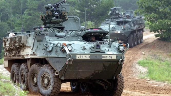 Mỹ tuyên bố chuyển giao cho Ukraine hàng chục xe thiết giáp Stryker và Bradley ảnh 2