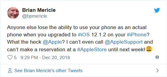 iOS 12.1.2 trên iPhone có lỗi kết nối nghiêm trọng ảnh 2