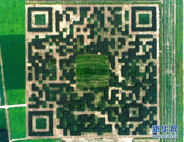 Ngôi làng Trung Quốc xây dựng hẳn công viên QR Code để thu hút khách du lịch ảnh 1