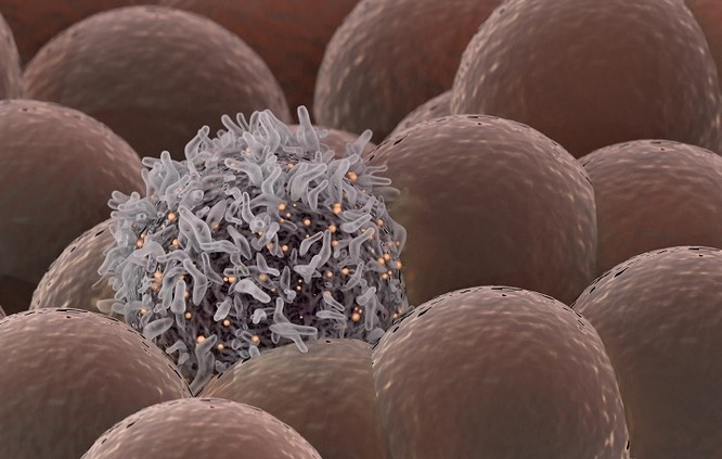 Các nhà khoa học phát triển tia laser có thể diệt tế bào ung thư trong máu ảnh 1